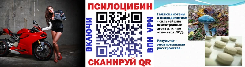 Псилоцибиновые грибы Psilocybine cubensis  купить закладку  Кировск 
